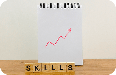 Skills in demand visa